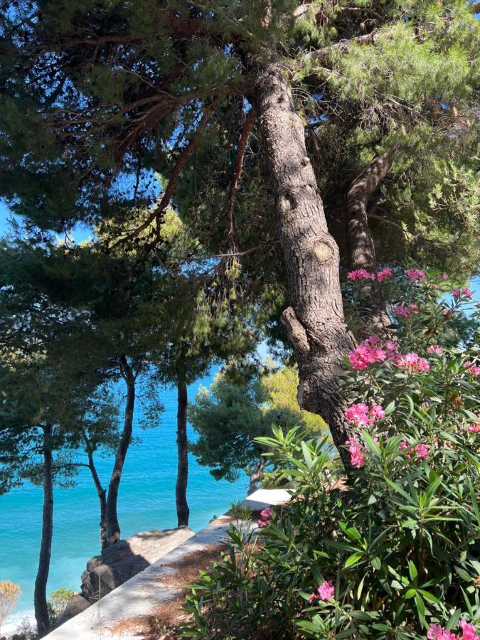 Sunny Breeze Apartment Vlore Ngoại thất bức ảnh